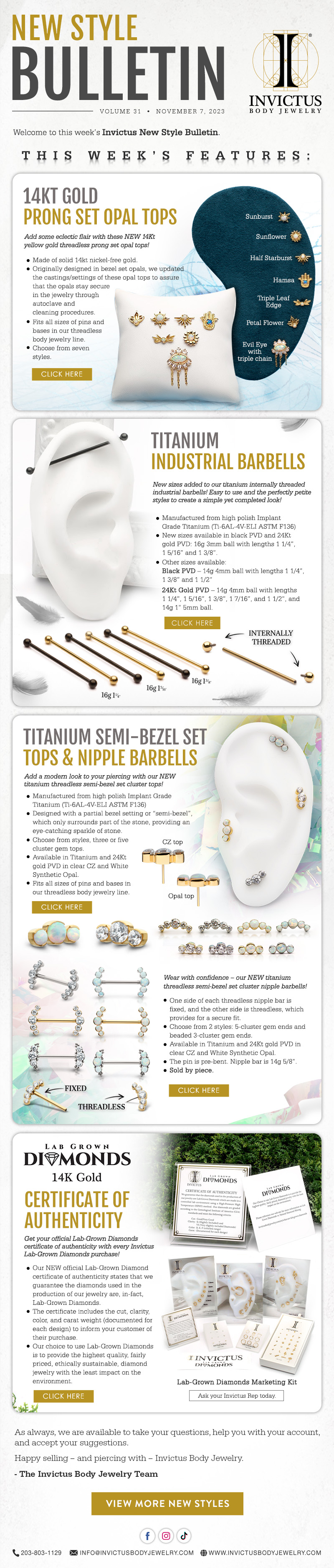 Invictus New Style Bulletin – November 7, 2023